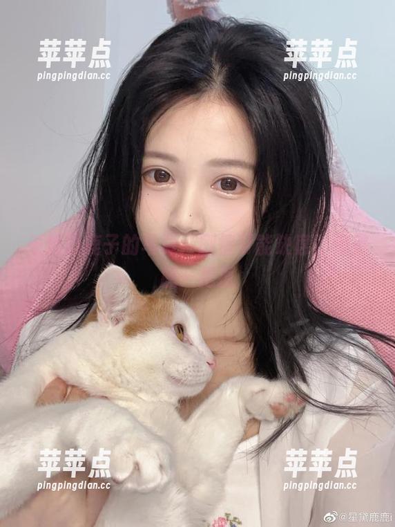 千反田鹿子的写真：剧情可能缺席，但美感一把抓