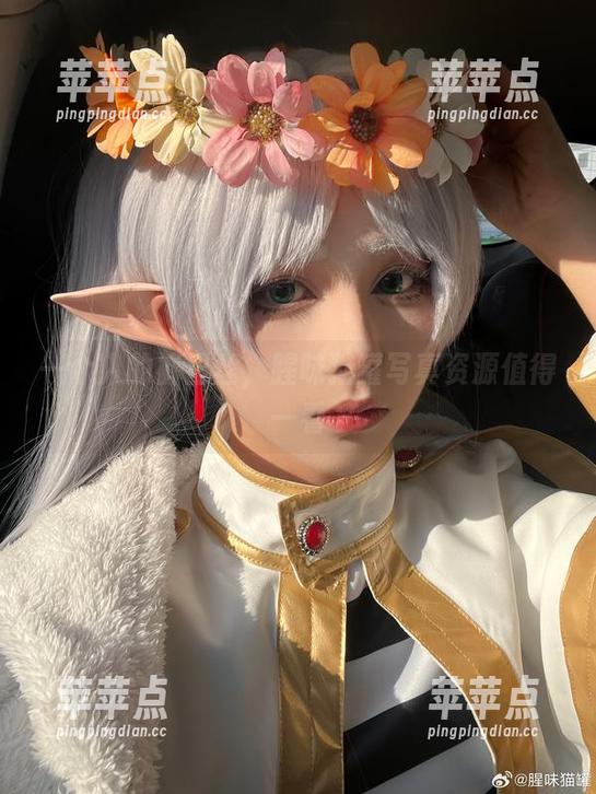 一个人的裤里丝，腥味猫罐写真资源值得一看
